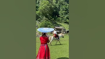 Cưỡi ngựa trên thảo nguyên Mộc Châu #remtravel #dulich #xuhuong #travel #trending