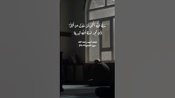 سورة الفتح 💗#المصحف #قران_كريم #لايك #تفعيل_الجرس