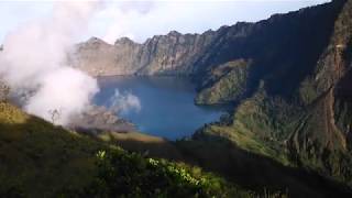 Belantara Indonesia