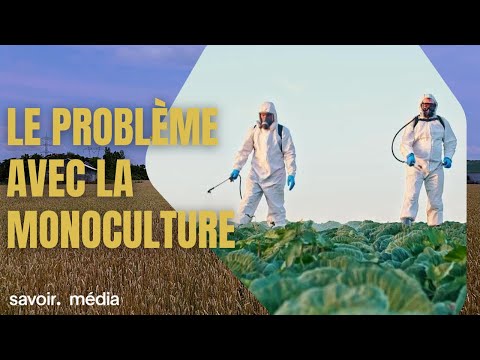 Vidéo: Monocultures - En savoir plus sur les effets de la monoculture