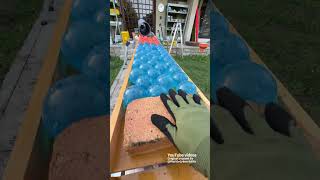 Marble Run. Vol. 27 ☆ Enjoy relaxation and ASMR.