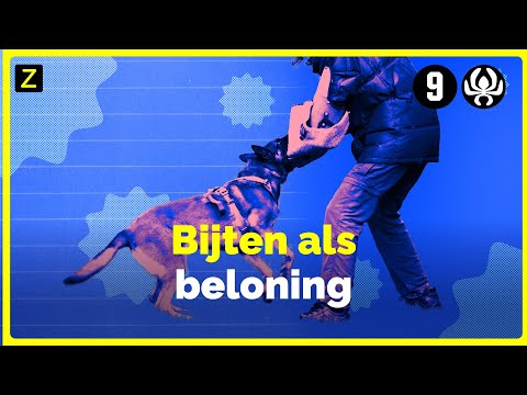 Video: Een medische klacht indienen: 11 stappen (met afbeeldingen)