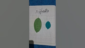 Maths Activity | To demonstrate function which is neither one -one nor onto.