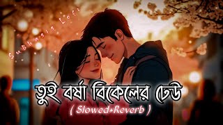 Tui Borsha Bikeler Dheu - (Slowed Reverb ) | Shaan & Palak Muchhal | Bengali Lofi Song
