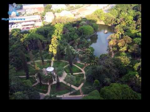 Video: Gatedrogmarknader Utöver Favoriter I Belo Horizonte, Brasilien