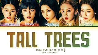 (G)I-DLE (여자)아이들 "Tall Trees" (Color Coded Lyrics)