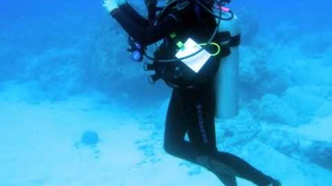 ALA 100 Design Challenge  2 EDIT