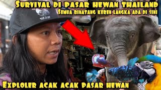 DEDE INOEN ACAK ACAK PASAR HEWAN DI THAILAND