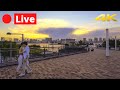 TOKYO LIVE 4k - Golden Week 2021 - Rainbow Bridge & Odaiba