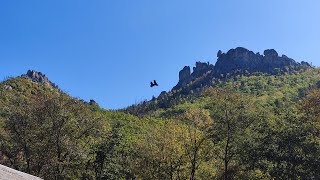 Дорога в Чистоводное видео с регистратора (Тебя здесь нет - Женя Малиновская)