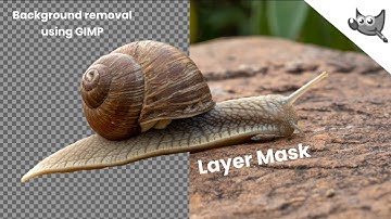 Remove Background Picture in GIMP with layer mask - 4