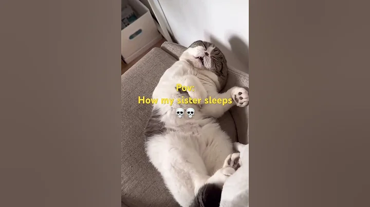 Video 10587231: cat cutecat pets funnycats, cats funnycats cutecat baby, funnycat cat pet cute, cat pets cutecat funny, pets adorable cutecat