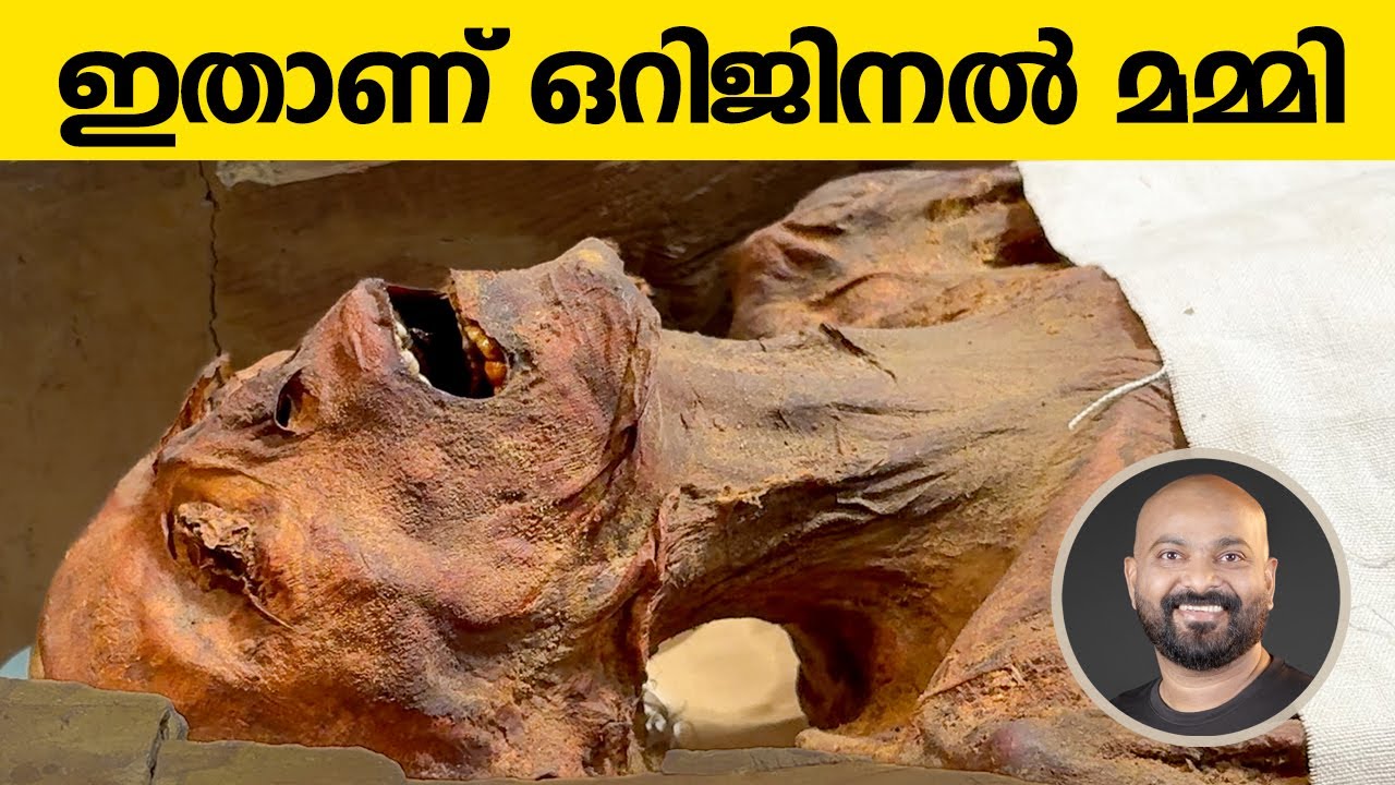 ഈജിപ്ഷ്യൻ മമ്മികൾ നേരിട്ട് കണ്ടപ്പോൾ | Real Egyptian Mummies | Egyptian Museum Cairo - Travel Guide