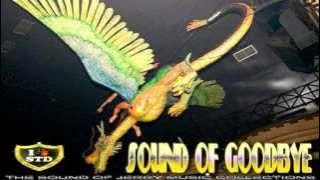 STADIUM JAKARTA sound of goodbye