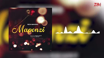 Rich Mavoko  - Mapenzi (Official Audio)