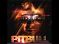 Pitbull (Planet Pit) - Pause