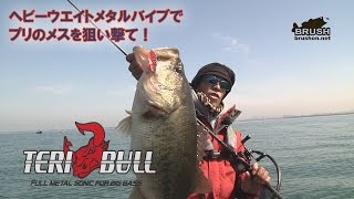 テリブル・ヘビーウエイトメタルバイブでプリのメスを狙い撃て！琵琶湖　鉾立光
