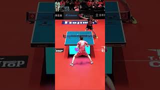 #早田ひな 照井雄太が選ぶスーパープレー「ネットイン対応」 日本生命レッドエルフ vs トップおとめピンポンズ名古屋ノジマTリーグ2025年12月28日(日)貝塚コスモスシアター【卓球 Tリーグ公式】