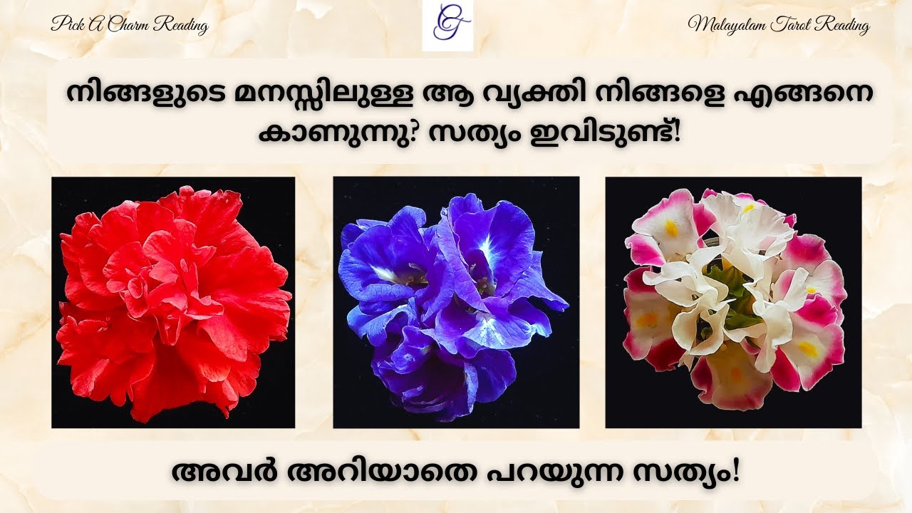 നിങ്ങളുടെ മനസ്സിലുള്ള ആ വ്യക്തി നിങ്ങളെ എങ്ങനെ കാണുന്നു? സത്യം ഇവിടുണ്ട്! | 