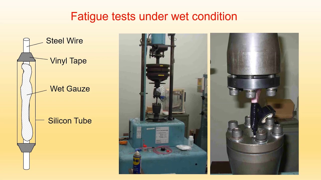 IABSE Lecture Series 2020: By Prof  Shunichi Nakamura, Japan