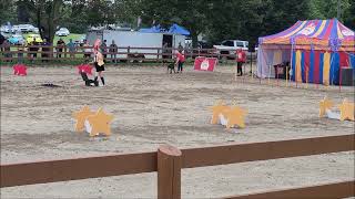 Autofest Nationals 2026 Canine Circus