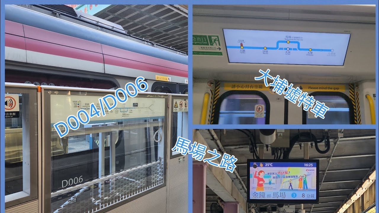 【首次入馬場】東鐵綫R-train D004/D006 大埔墟起載➡️馬場