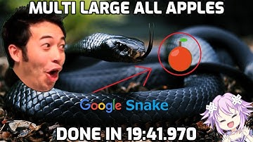 Google Snake Multi Large All Apples in 19m41s920ms [World Record]