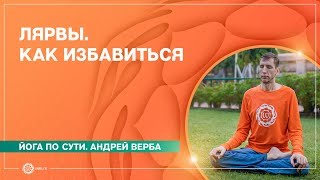 Лярвы. Как избавиться от лярв. Часть 1.