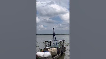 Phà Cần Giuộc - Cần Giờ (Cảng Quốc tế Long An)