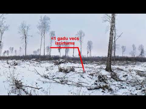 Video: Jaunu Mežu Noslēpums - Alternatīvs Skats