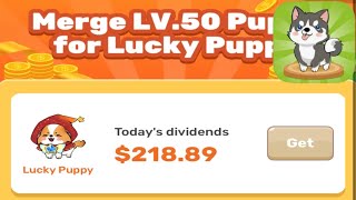 PUPPY TOWN Earn Money Cash Rewards - Puppy Town Max 50 Level real win $ screenshot 4