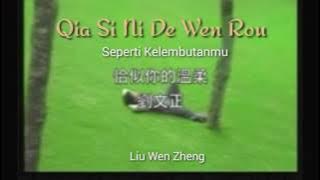 Qia Si Ni De Wen Rou With Lyrics