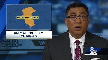 Man charged after Chihuahua found dumped in trash can
