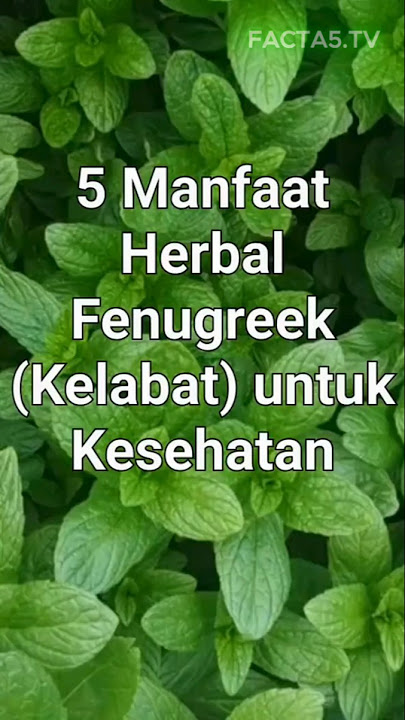 5 Fakta Unik - Manfaat Menakjubkan Herbal Fenugreek (Kelabat) bagi Tubuh #shorts #herbal #fenugreek