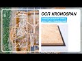 ОСП (OSB) плита Кроношпан (Kronospan) | Моттекс