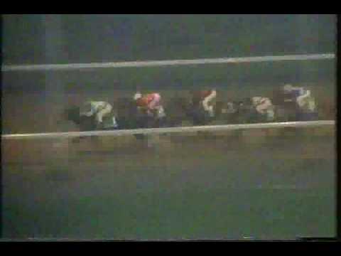 1987 Jim Beam Stakes - J. T.'s Pet