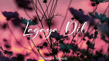 Lagaya Dil | Slowed + Reverb | Sajjad Ali | Lofi Bollywood 🌹