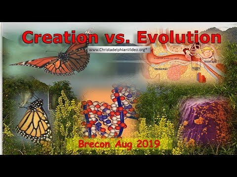 Creation vs all versions of Evolution