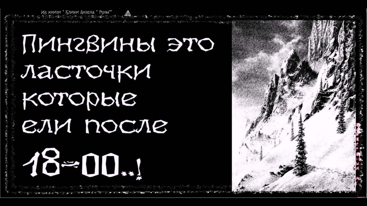 Пингвины это ласточки которые ели после 18 00 картинка