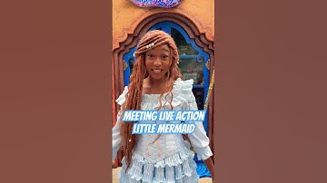 Thumbnail of Have you met Ariel yet? #littlemermaid #disneyparks #disneyland #disney #mermaid #ariel #character