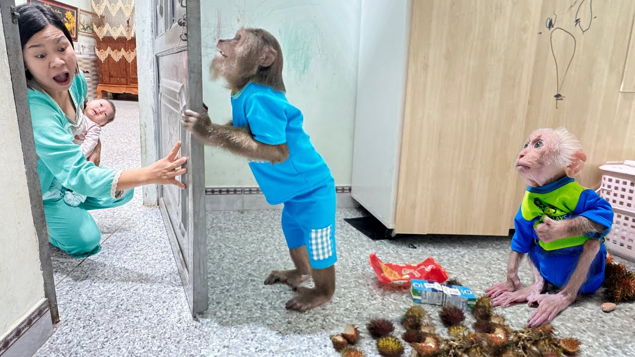 CUTIS & Baby monkey's funny emotional reactions to food but the ending so sad😯