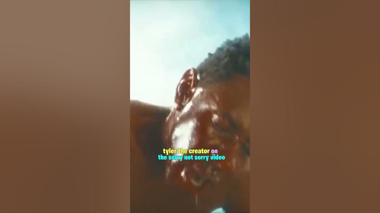 Tyler The Creator on the Sorry Not Sorry video 🌙🐝