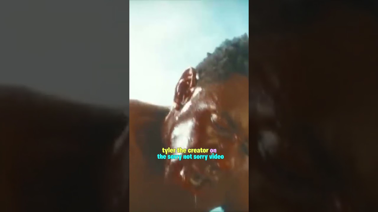 Tyler The Creator on the Sorry Not Sorry video 🌙🐝