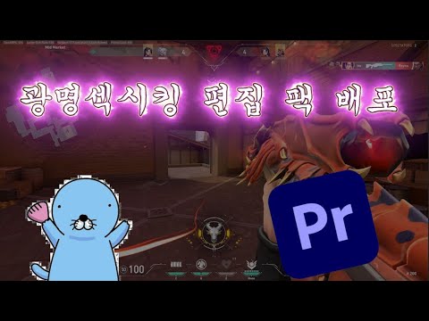 광섹킹 편집 팩 배포