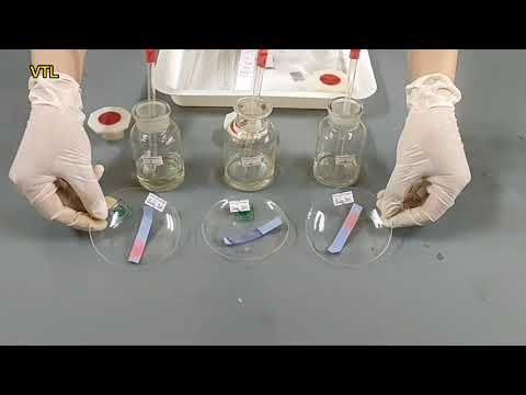 Nhận biết dung dịch NaCl, HCl, H2SO4 | Nhận biết dung dịch mất nhãn (hướng dẫn chi tiết) - youtube