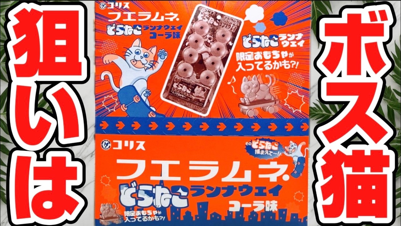 Capture the legendary boss cat! Fue Ramune 2026! Limited edition