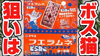 Capture the legendary boss cat! Fue Ramune 2026! Limited edition
