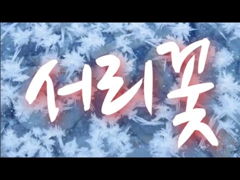 서리꽃 성민지 원곡