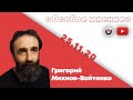 Особое мнение / Григорий Михнов-Вайтенко // 25.11.20