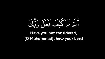 سورة الفيل | شاشة سوداء | مشاري العفاسي
